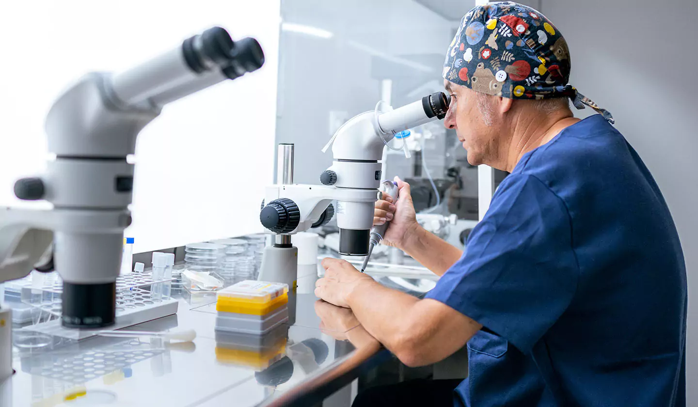 blastocyst-stage-extended-culture-day-5-or-day-6-embryo-transfer