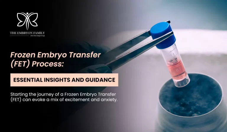 Frozen Embryo Transfer-FET-Process