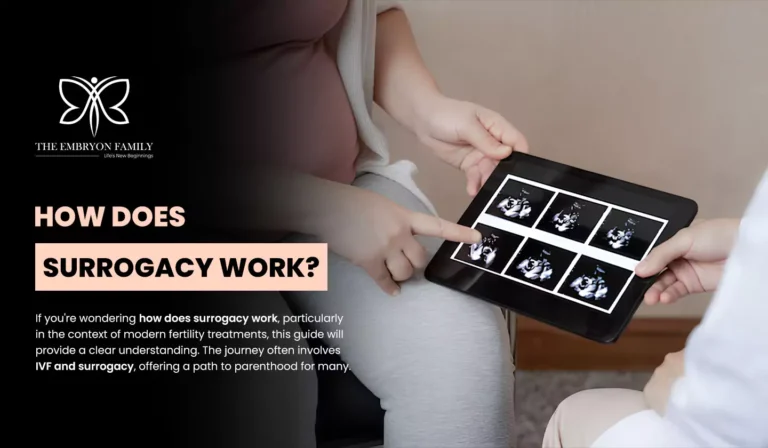 How Does Surrogacy Work