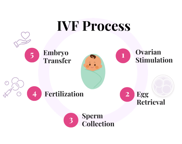 ivf-process