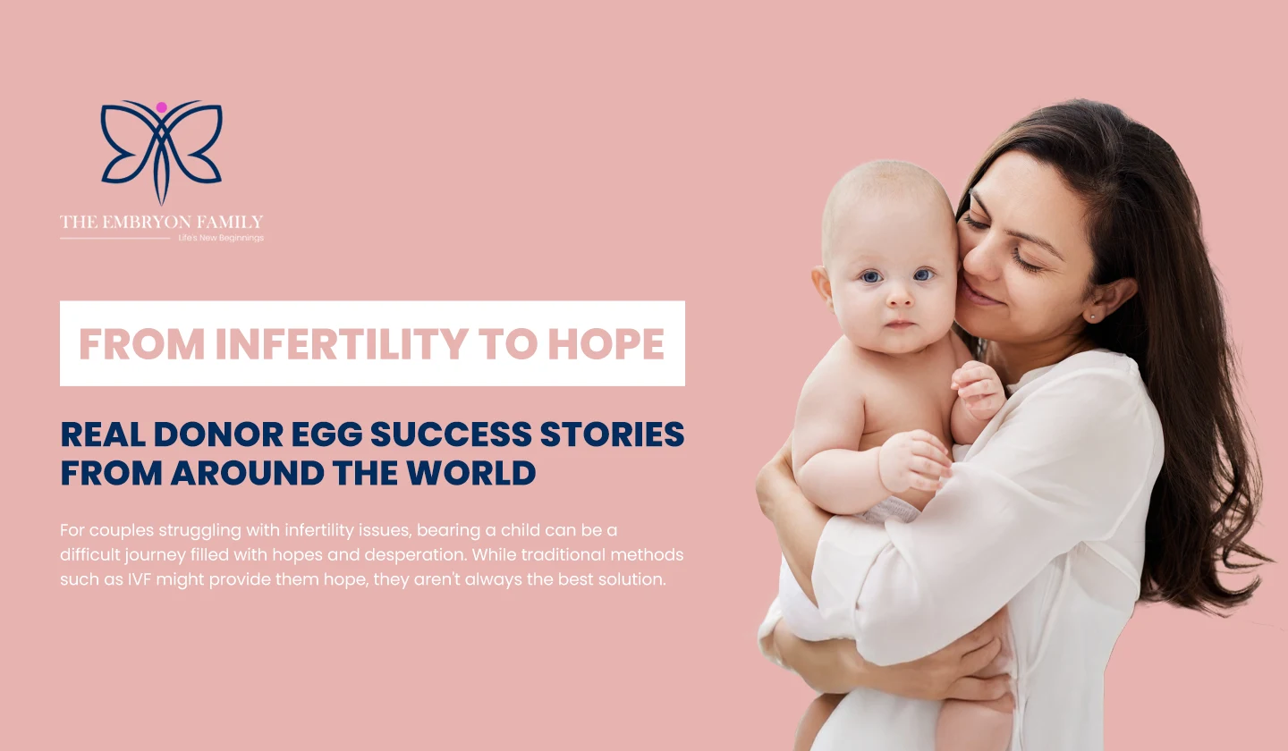 Donor egg success stories