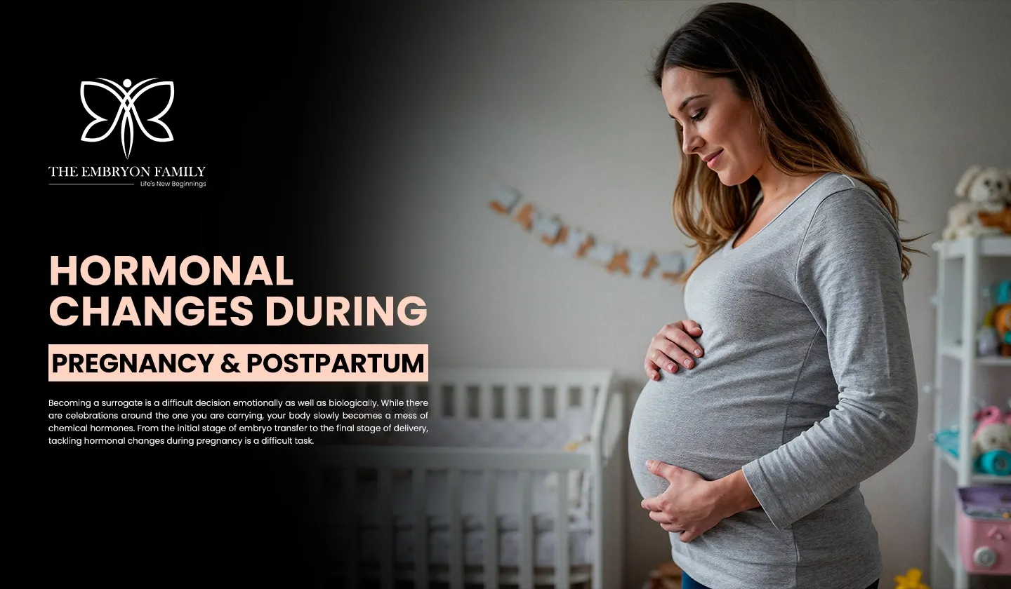 hormonal changes during pregnancy