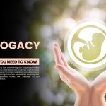 Surrogacy terms for a Safe Surrogacy Journey