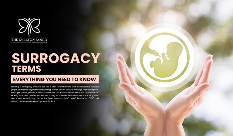 Surrogacy terms for a Safe Surrogacy Journey