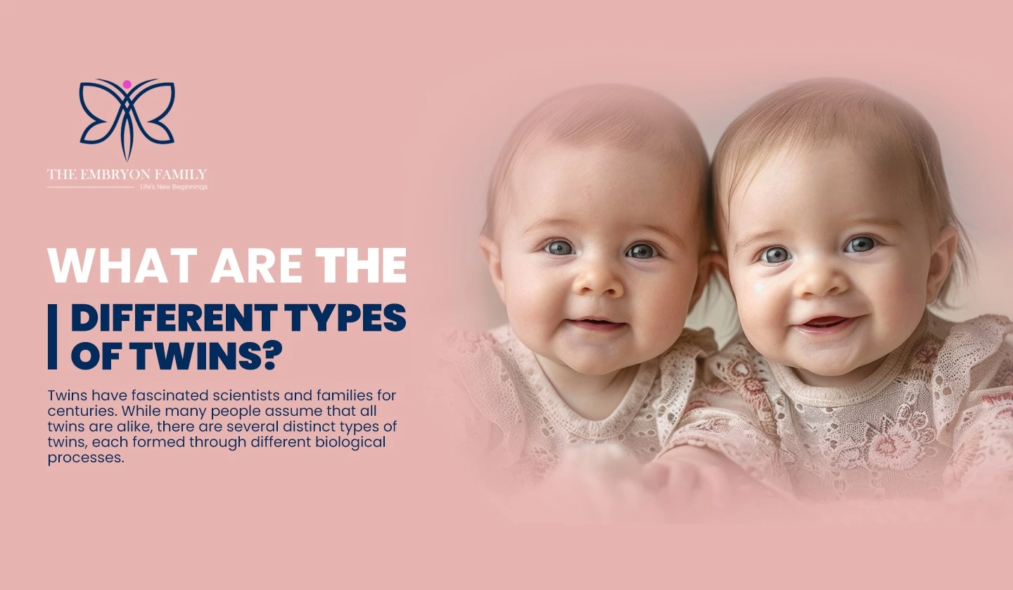 Different Types Of Twins