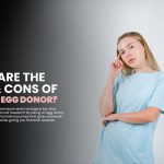 Egg Donor