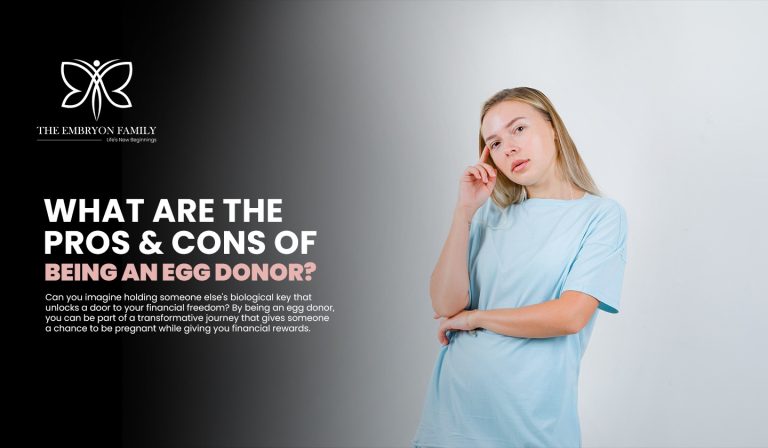 Egg Donor