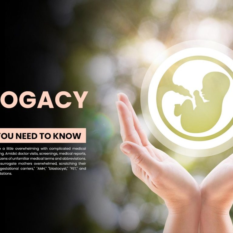 Surrogacy terms for a Safe Surrogacy Journey